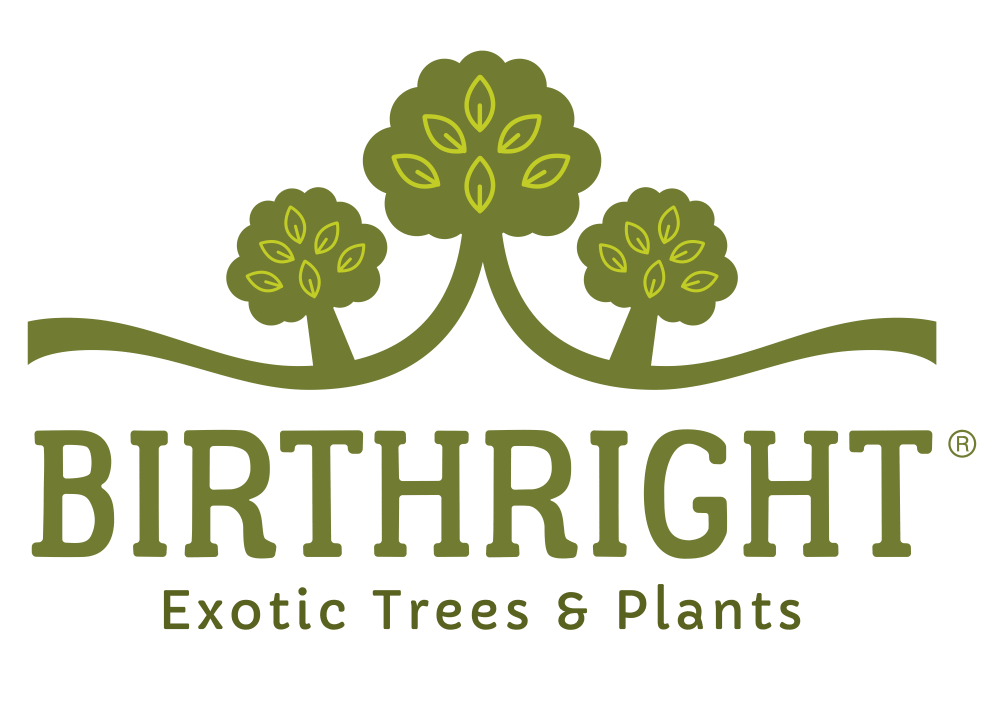 Birthright-Logo-2021